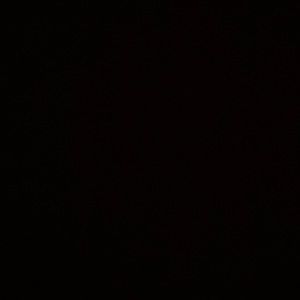 Meet your Posher, Sandro